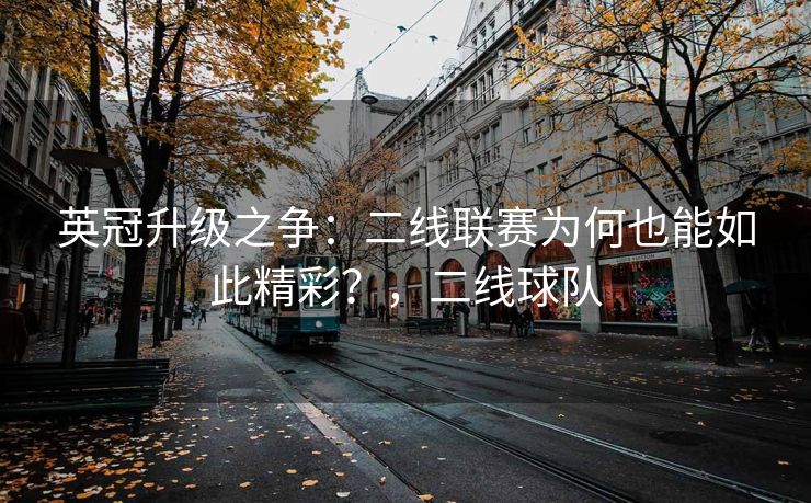 英冠升级之争：二线联赛为何也能如此精彩？，二线球队  第2张