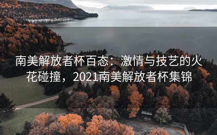 南美解放者杯百态：激情与技艺的火花碰撞，2021南美解放者杯集锦