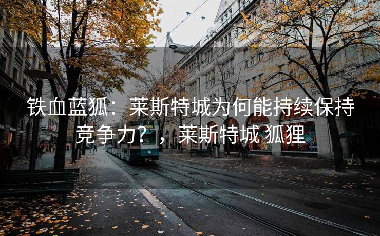 铁血蓝狐：莱斯特城为何能持续保持竞争力？，莱斯特城 狐狸  第2张