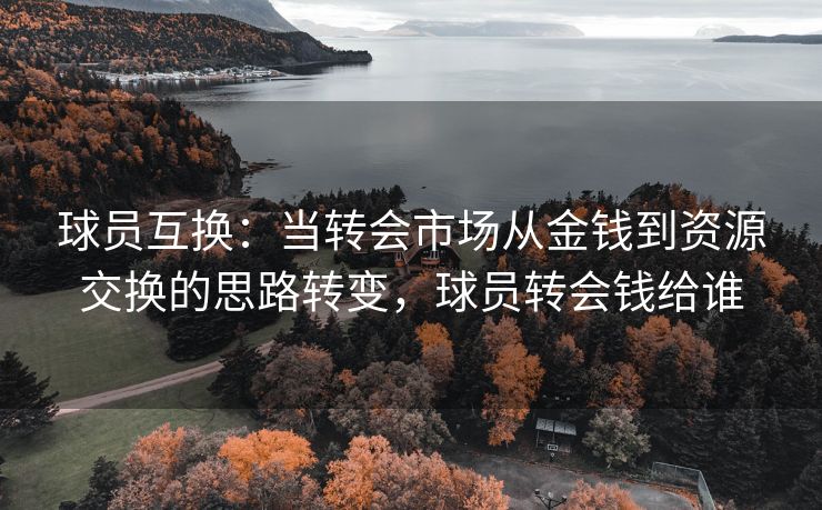 球员互换：当转会市场从金钱到资源交换的思路转变，球员转会钱给谁