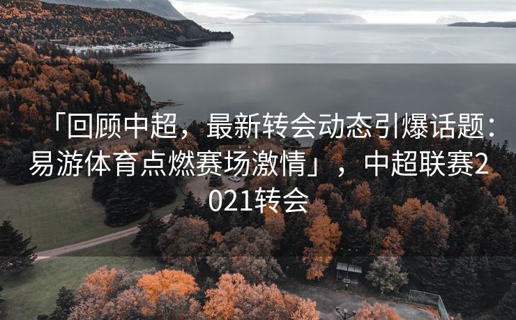 「回顾中超，最新转会动态引爆话题：易游体育点燃赛场激情」，中超联赛2021转会  第2张