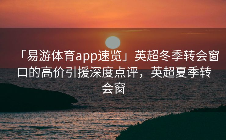 「易游体育app速览」英超冬季转会窗口的高价引援深度点评，英超夏季转会窗  第2张