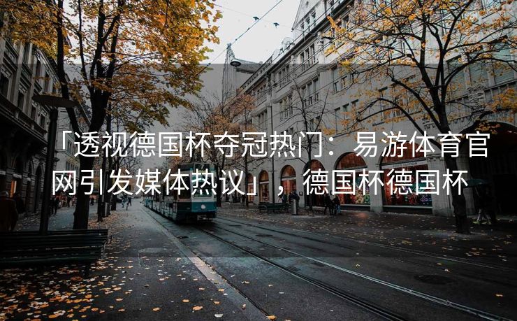 「透视德国杯夺冠热门：易游体育官网引发媒体热议」，德国杯德国杯  第1张