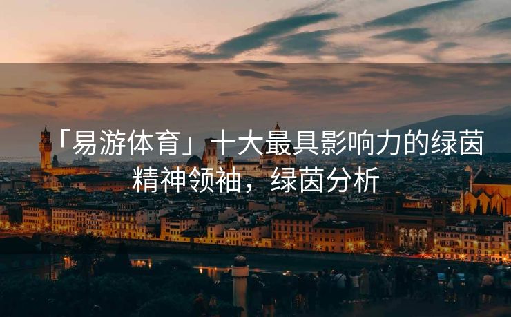 「易游体育」十大最具影响力的绿茵精神领袖，绿茵分析