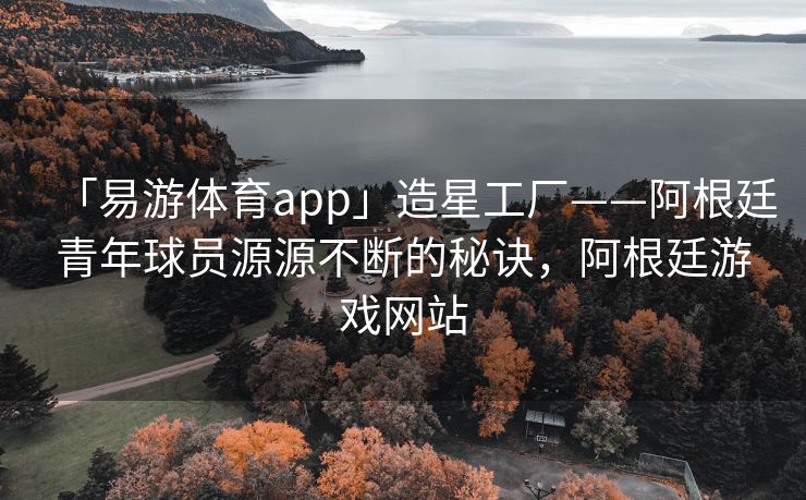 「易游体育app」造星工厂——阿根廷青年球员源源不断的秘诀，阿根廷游戏网站  第2张
