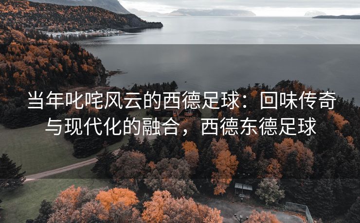 当年叱咤风云的西德足球：回味传奇与现代化的融合，西德东德足球