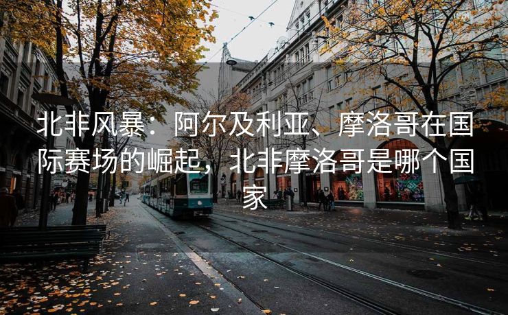 北非风暴：阿尔及利亚、摩洛哥在国际赛场的崛起，北非摩洛哥是哪个国家  第2张