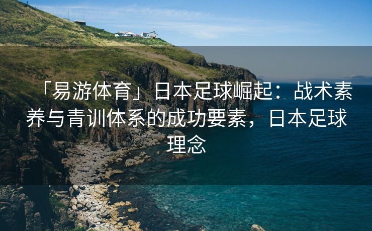 「易游体育」日本足球崛起：战术素养与青训体系的成功要素，日本足球理念  第2张