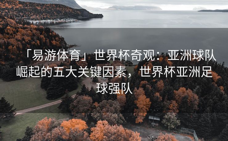 「易游体育」世界杯奇观：亚洲球队崛起的五大关键因素，世界杯亚洲足球强队  第2张