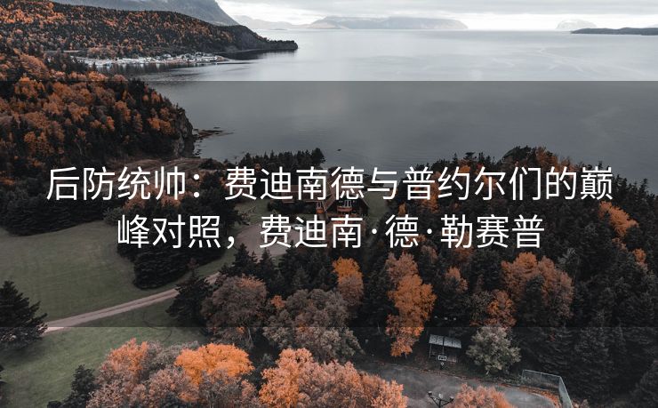 后防统帅：费迪南德与普约尔们的巅峰对照，费迪南·德·勒赛普  第2张
